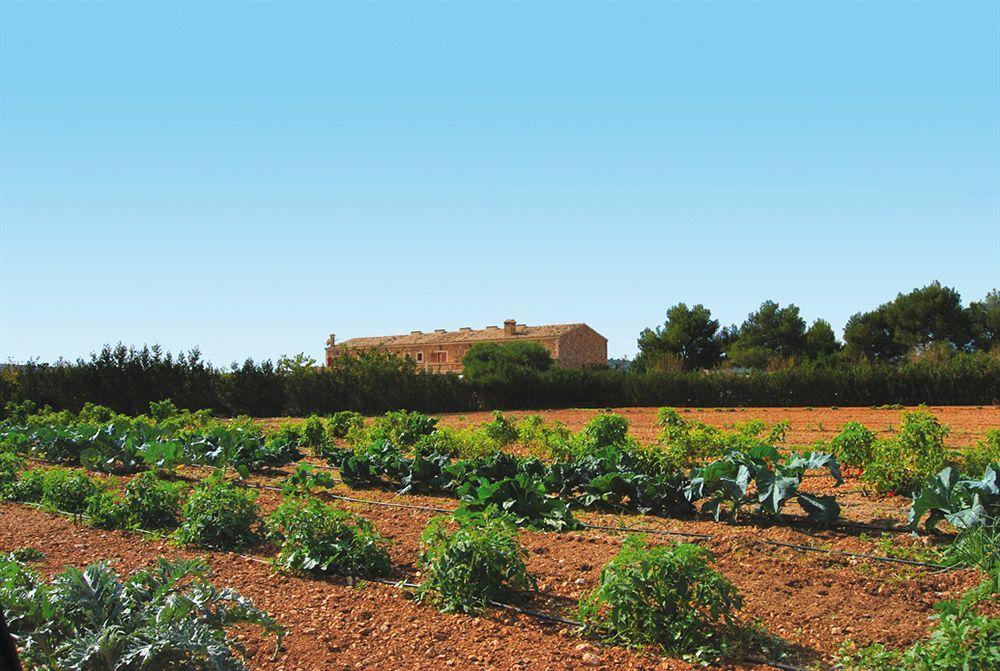 Agroturism Son Terrades Hotel Santa Maria del Cami  Exterior photo